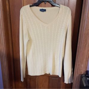 Karen Scott L v neck sweater